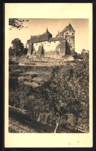 AK Rothenfels, Burg Rothenfels