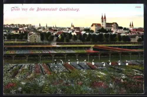 AK Quedlinburg, Frauen arbeiten auf den Blumenfeldern, Ortsansicht