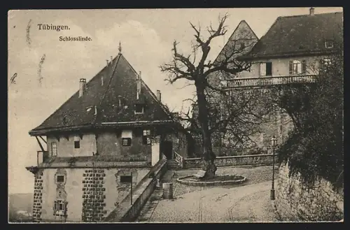 AK Tübingen, Schlosslinde