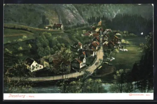 AK Treseburg i. Harz, Ortsansicht aus der Vogelschau