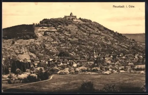 AK Neustadt i. Odw., Gesamtansicht mit Burg