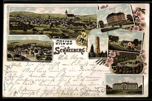 Lithographie Schneeberg, Seminar, Gewerbeschule, Königliches Gymnasium