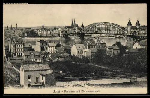 AK Bonn, Panorama mit Rheinpromenade