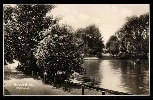 AK Burgstädt i. Sa., Wettinhain, Teich, Parkanlage