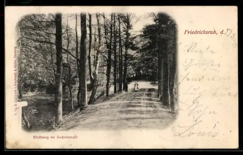 AK Friedrichsruh, Waldweg im Sachsenwald