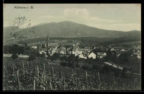 AK Müllheim i. B., Ortsansicht mit Kirche und Weinbergen