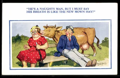 Künstler-AK Donald McGill: He`s a naughty man, but...