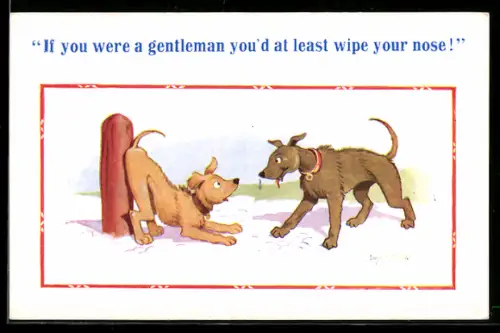 Künstler-AK Donald McGill: If you were a gentleman you`d at least wipe your nose!