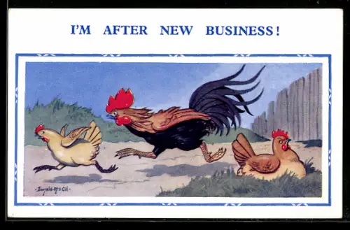 Künstler-AK Donald McGill: I`m after new Business, Hahn hetzt Henne hinterher