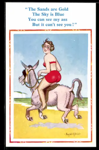 Künstler-AK Donald McGill: ... You can see my ass, ..., Frau in Bikini reitet auf einem Esel