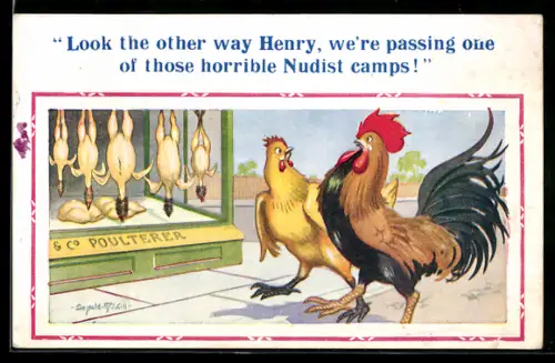 Künstler-AK Donald McGill: Hahn und Henne laufen an einem Geflügelgeschäft vorbei