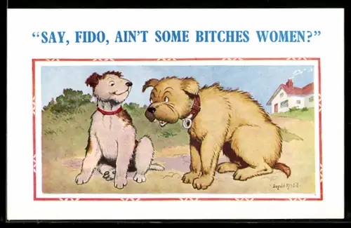 Künstler-AK Donald McGill: Grosser Hund fragt kleinen Kameraden: Say Fido, ain`t some Bitches Women?