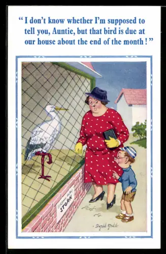 Künstler-AK Donald McGill: Frau mit Jungen im Tierpark