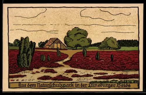 Steindruck-AK Aus dem Naturschutzpark in der Lüneburger Heide