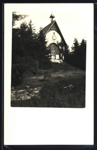 Foto-AK Neu-Weilnau, Kapelle im Wald