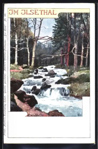 AK Ilsenburg, Bachlauf im Ilsetal