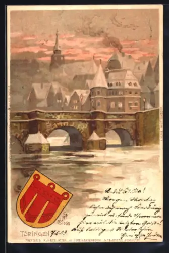 AK Tübingen, Neckarbrücke, Ortsansicht, Schloss, Wappen
