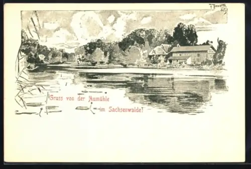 AK Aumühle /Sachsenwald, Ansicht der Aumühle am Wasser