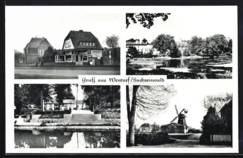 AK Wentorf /Sachsenwald, Gasthaus, Mühle, Parkanlagen, See