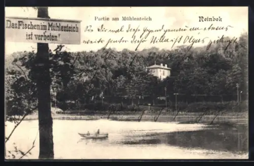AK Reinbek, Partie am Mühlenteich