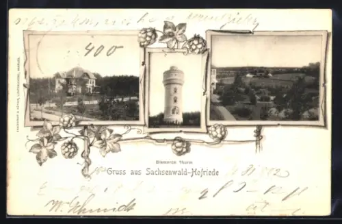 AK Sachsenwald-Hofriede, Bismarck Turm, Villenansicht, Parkanlage