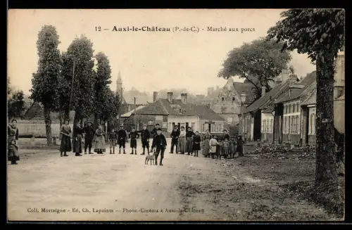 AK Auxi-le-Château /P.-de-C., Marché aux porcs
