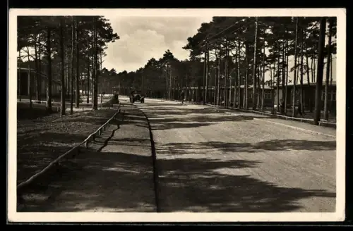 AK Stolpmünde, Strassenpartie mit Häuschen im Kiefernwald