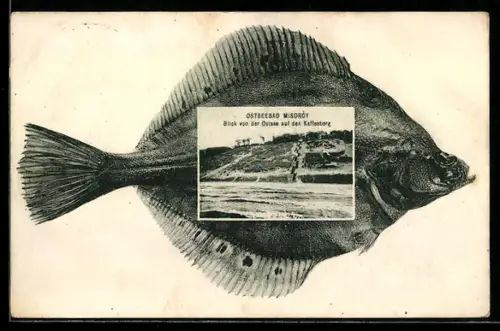 AK Misdròy, Blick von der Ostsee auf den Kaffeeberg, Flunderpassepartout