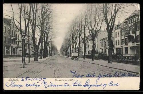 AK Lübeck, Strasse in der Schwartauer Allee