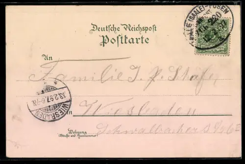 Lithographie Torgau, Totalansicht, Rathaus und Stadtkirche