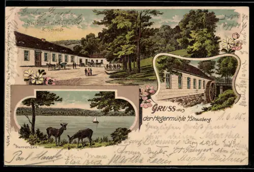Lithographie Strausberg, Gasthaus zur Hegermühle, Inh. R. Schmidt, Hegermühle, Herrensee