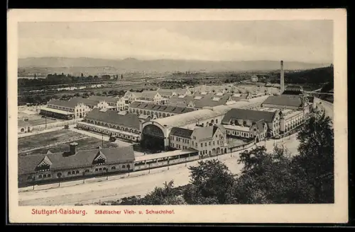 AK Stuttgart-Gaisburg, Städtischer Vieh- und Schlachthof