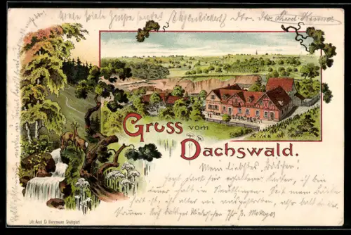 Lithographie Stuttgart, Gasthof Dachswald aus der Vogelschau