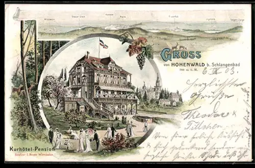 Lithographie Schlangenbad, Gasthof Hohenwald, Bes. E. Brunn