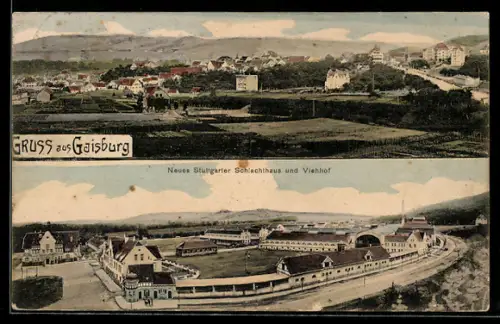 AK Gaisburg, Neues Stuttgarter Schlachthaus und Viehhof, Teilansicht
