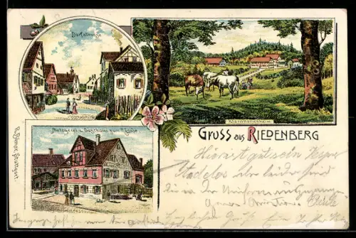 Lithographie Riedenberg, Metzgerei und Gasthaus zum Rössle, Dorfstrasse, Kleinhohenheim