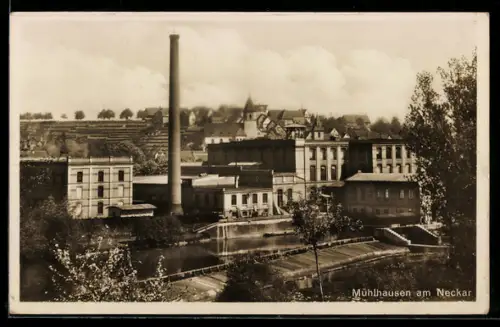 AK Mühlhausen am Neckar, Flusspartie mit Fabrikschornstein