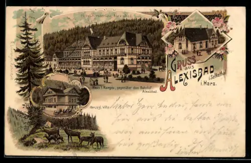 Lithographie Alexisbad / Harz, Herzogl. Villa, Hotel Försterling, Badehaus