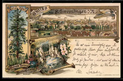 Lithographie Schwenningen, Hölzlekönig, Neckar-Ursprung, Stadtpanorama