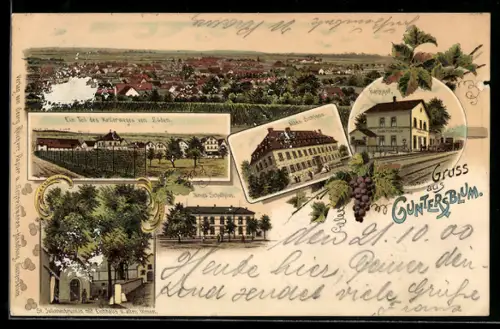 Lithographie Guntersblum, Neues Schulhaus, Altes Schloss, Bahnhof von der Gleisseite