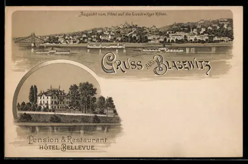 Lithographie Dresden-Blasewitz, Pension Restaurant Hotel Bellevue, Aussicht vom Hotel auf die Loschwitzer Höhen, Dampfer