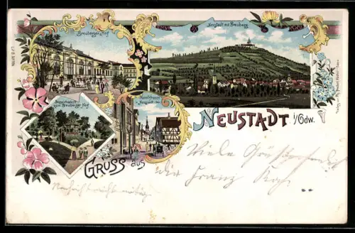 Lithographie Neustadt / Odenwald, Hotel Breuberger Hof, Totalansicht