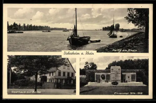 AK Biebesheim a. Rhein, Rheinpartie und Gasthaus zur Börse, Inh. Wilh. Karl Schäfer