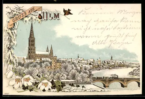 Winter-Lithographie Ulm, Totalansicht des Ortes mit Münster