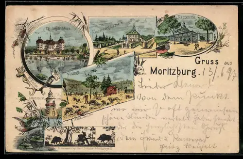 Lithographie Moritzburg, Königliches Jägerschloss, Fasanenschlösschen und Fasanerie