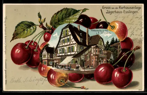 Passepartout-Lithographie Esslingen, Gasthaus Waldschenke zu den 3 Linden, Ansicht auf Kirschen