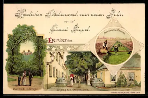 Lithographie Erfurt, Durchblick im Steiger, Eingang zum Steigergarten, Brunnenkresse-Kulturen