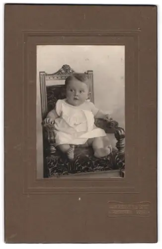 Fotografie Ronneberger und Sohn, Falkenstein Vogtl., Kleinkind auf prunkvollem Stuhl