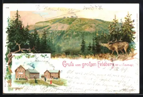 Lithographie Grosser Feldberg /Taunus, Gasthaus mit Besuchern, Hirsch