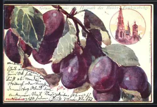 Lithographie Bühl, Bühler Zwetschgenzweige, Kirche